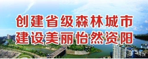 狠狠操b创建省级森林城市 建设美丽怡然资阳